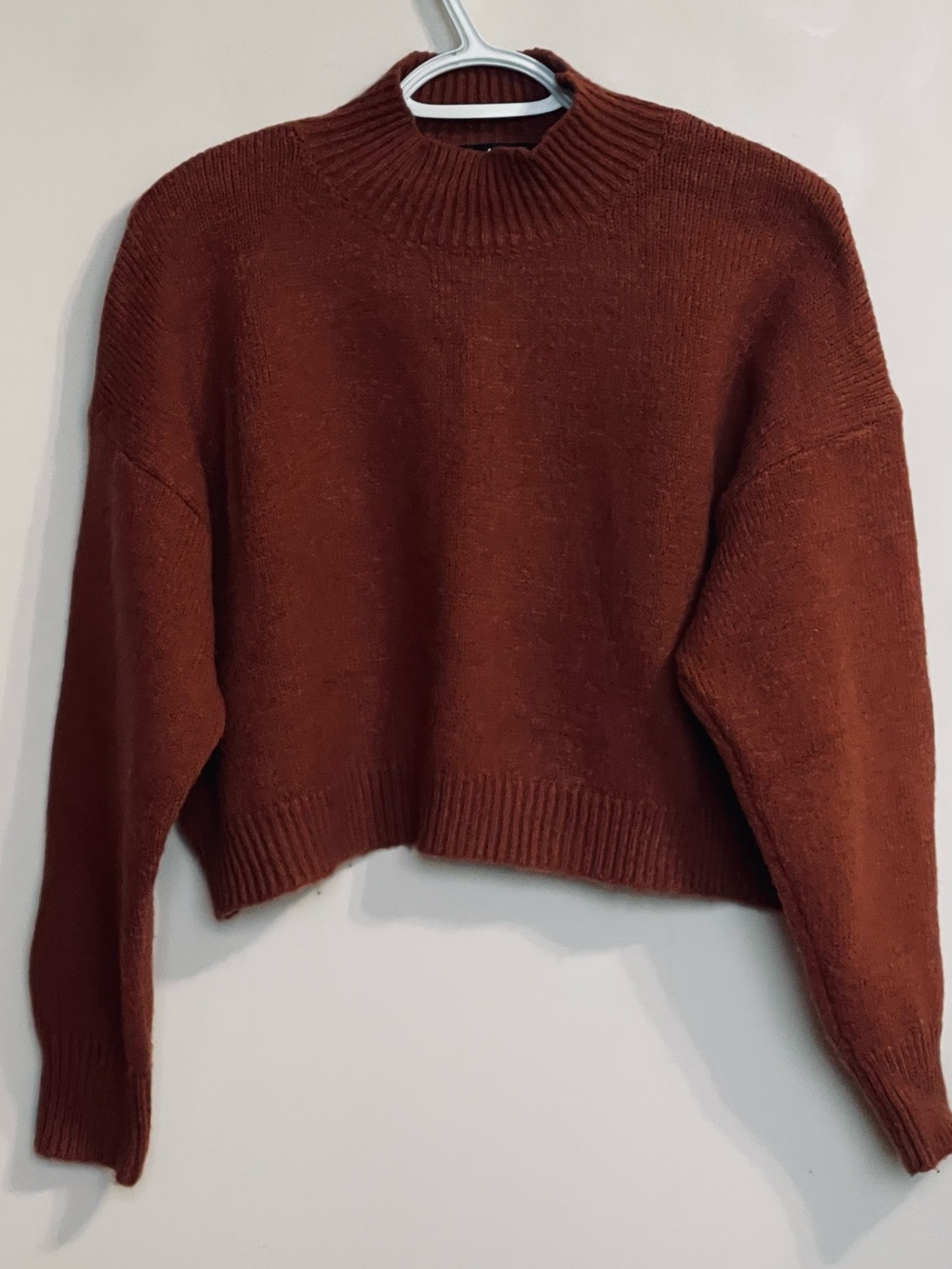 Lulu's Cropped Mock Neck Sweater in Rust Brown